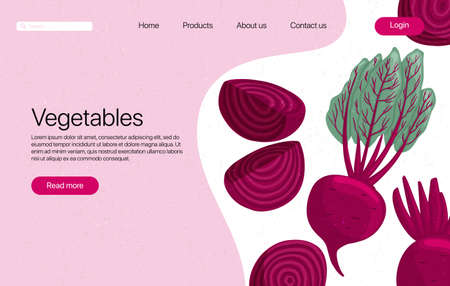 beets landing page template with text space. Beetroot cartoon illustration. Healthy organic beet slices and leaves web page design.のイラスト素材