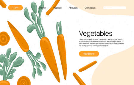 carrots landing page template with text space. Carrot cartoon illustration. Healthy organic carrot slices and leaves web page design.のイラスト素材