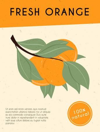 Fresh textured orange fruits on branch with leaves vector hand drawn card design.のイラスト素材