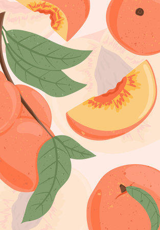 Ripe peaches on branch. Sweet nectarine fruits vector hand drawn card design. Peach seed, leaves.
