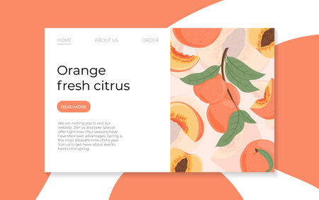 Ripe peaches, whole, sliced and half sliced peaches. Sweet nectarine fruits vector hand drawn landing page design.のイラスト素材