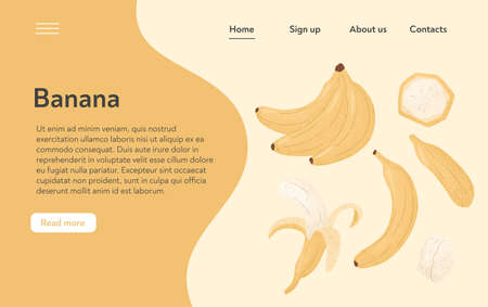 Ripe banana landing page design. Sweet banana fruit vector hand drawn website concept. Bright tasty tropical fruit.のイラスト素材