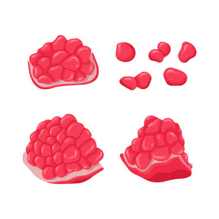 Set of pomegranate fruits and grains vector hand drawn illustration. Fresh pomegranate, whole and...