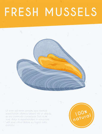 Fresh tasty seafood clams, shellfish in seashells vector hand drawn poster design with text space.のイラスト素材