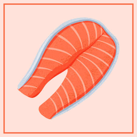 Fresh tasty salmon sea fish fillet vector hand drawn illustration isolated on red background.のイラスト素材