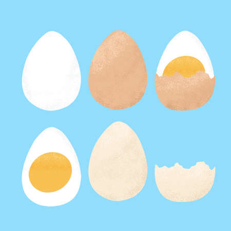 Set of boiled eggs, half and sliced vector hand drawn illustration. Healthy food. Cooked tasty...