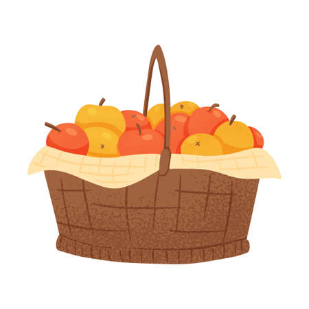 A basket full of sweet ripe apples for autumn farm market banner design.のイラスト素材