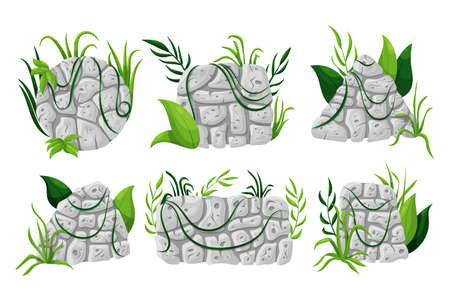 Set of stone boards with liana branches and tropical leaves. Rock panels with jungle Vector cartoon illustration.のイラスト素材