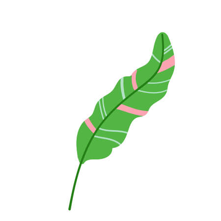 tropical leaf bright element vectorのイラスト素材