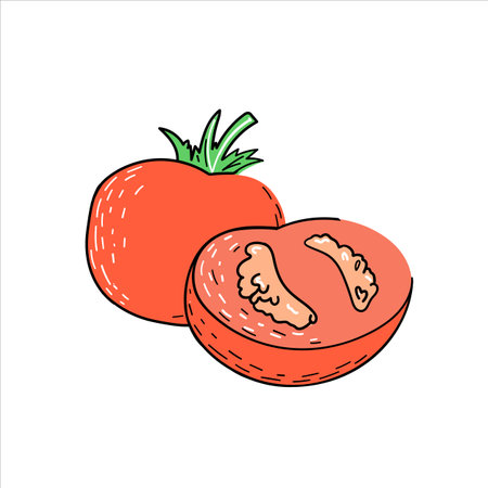 Two red tomatoes on transparent backgroundのイラスト素材