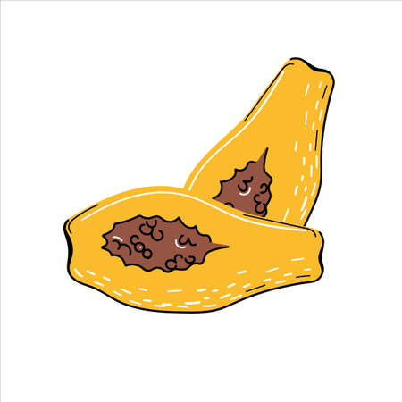 papaya fresh fruit healthy foodのイラスト素材