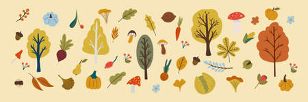 autumn leaves , mushroom, vegetables in flat styleのイラスト素材