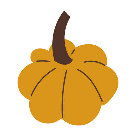 Flat Style Illustrated orange Pumpkin Fruit Iconのイラスト素材