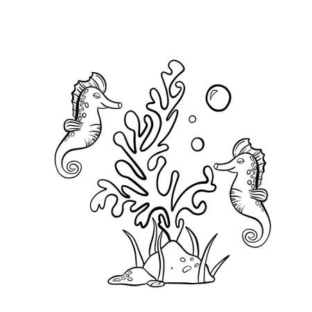hand drawn doodle with sea horse and laminariaのイラスト素材
