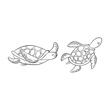 Vector black outline cartoon doodle sea turtles.のイラスト素材