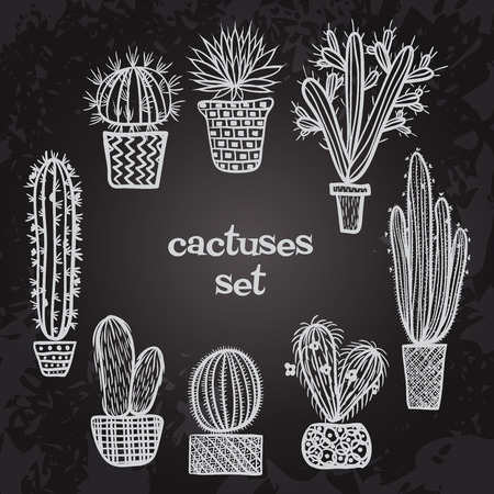 Flat colorful illustration of succulent plants and cactuses in potsのイラスト素材