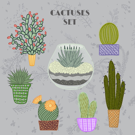 Flat colorful illustration of succulent plants and cactuses in potsのイラスト素材