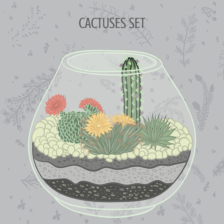 Flat colorful illustration of succulent plants and cactuses in aquarium. Vector botanical graphic set with cute florals.のイラスト素材