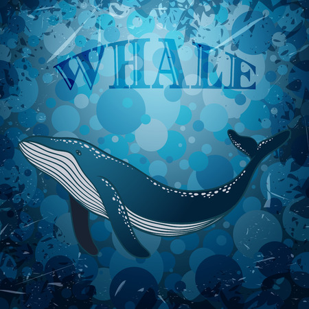 Vintage poster with whale on marine grunge background. Retro hand drawn illustrationのイラスト素材