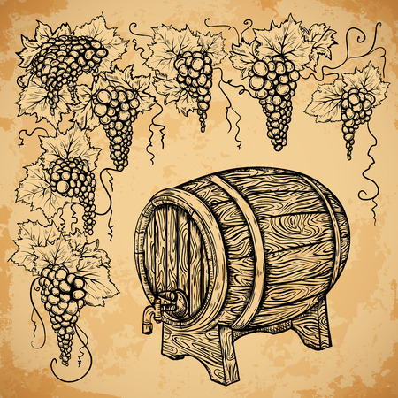 Vintage wine barrel and grape on aged paper background. Isolated elements. Retro hand drawn vector illustrationのイラスト素材