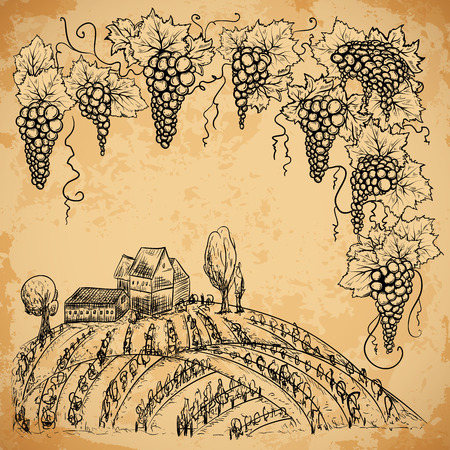 Vintage vineyard and grape on aged paper background. Isolated elements. Retro hand drawn vector illustrationのイラスト素材