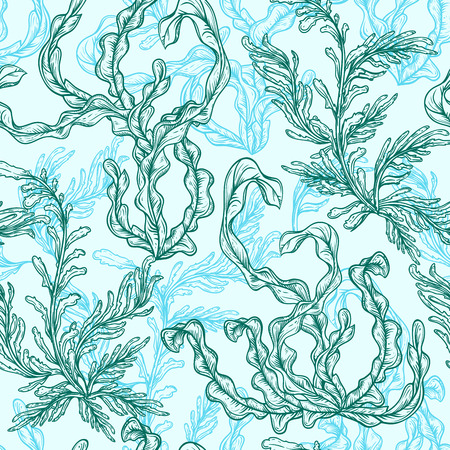 Collection of marine plants, leaves and seaweed. Vintage seamless pattern with hand drawn marine flora. illustration in line art style.のイラスト素材