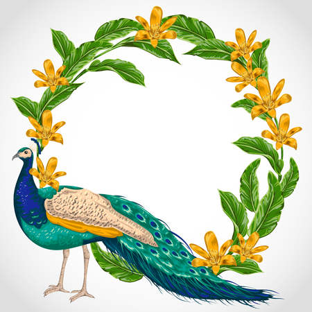 Wreath with peacock, lily flowers and leaves.のイラスト素材
