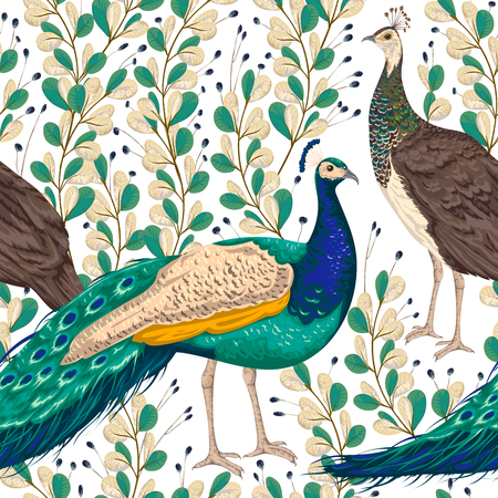 Seamless pattern with male and female peacock, berries and leaves. Vintage hand drawn vector illustration in watercolor styleのイラスト素材