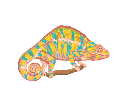Chameleon Isolated On White Background Vector Illustration In Watercolor Styleのイラスト素材 ストックフォト 写真素材のstock Foto ストックドットフォト