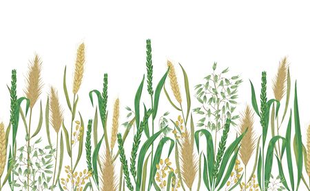 Seamless border with cereals. Barley, wheat, rye, rice and oat. Collection decorative floral design elements. Vintage vector illustration in watercolor style.のイラスト素材