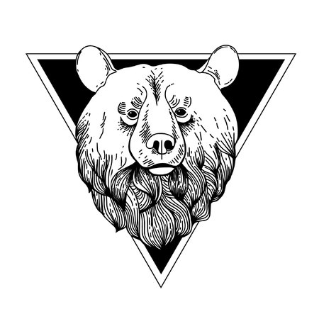 Bear Hand Drawn Graphic.のイラスト素材