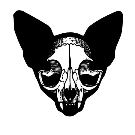 Tattoo Skull of a cat.のイラスト素材