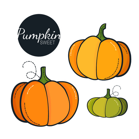 Fresh organic pumpkin isolated on white backgroundのイラスト素材