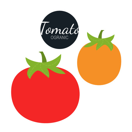 Fresh organic tomato isolated on white backgroundのイラスト素材