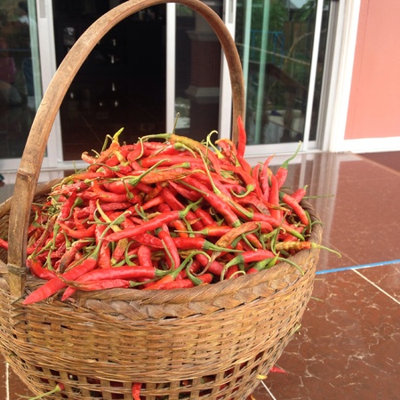 Chilliの素材
