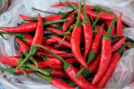 Red chili pepperの素材