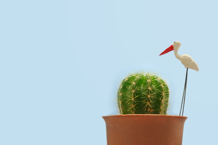Mini Cactus with egret toy on blue background.の写真素材
