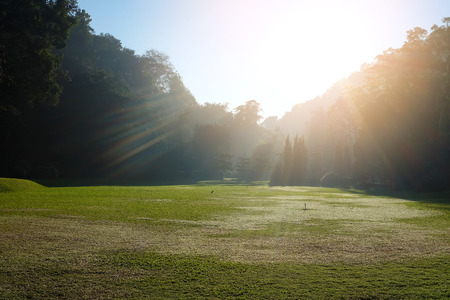 Grass field on hill in sunshineの写真素材