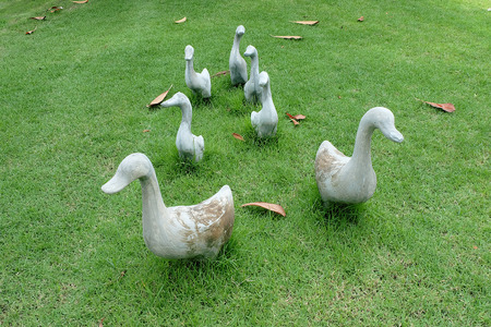 Herd of ducks statue made of cement in gardenの写真素材