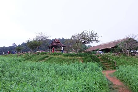 Chiang Mai,Thailand - January 15, 2018:  Mon Jam Viewpoint in Chiang Mai, Thailandのeditorial素材