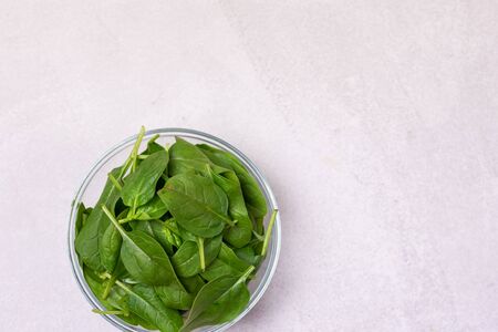 Ripe Spinach in the Bowl on the Light Gray background Spinach Leaves Top View Horizontal Copy Spaceの写真素材