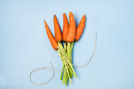 Bunch of Fresh Carrots with Green leaves on Blue Background Vegetable Mimimal Top View