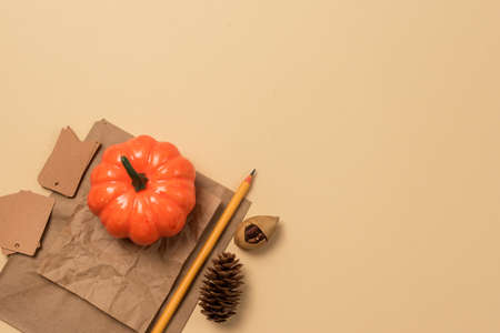 Autumn Mock Up Top View Composition with Pumpkin Pencil and Craft Paper Flat Lay Horizontal Copy Spaceの写真素材
