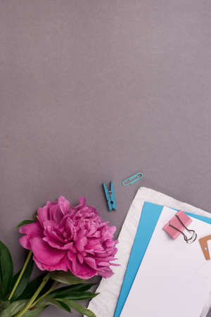 Minimal Styled Flat lay with peony flower white blank with paper clips Mock up top view Verticalの写真素材
