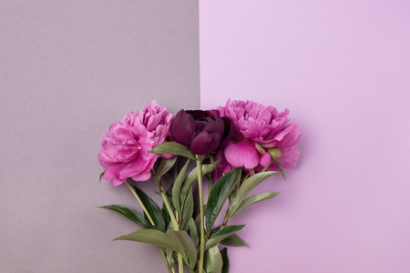Bouquet of Pink and Rose Peonies on double Gray and Pink Background Fashionable minimal concept of spring or summer flowers Top Viewの写真素材
