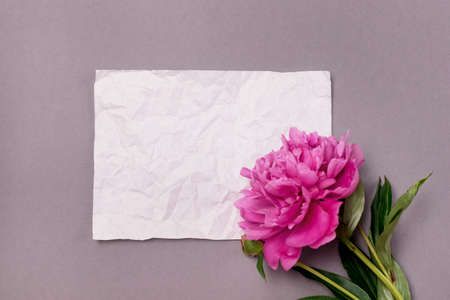 Minimal Styled Flat lay with Pink Peony flowers and white blank Mock up top view Horizontalの写真素材