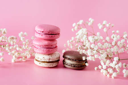 French Colorful Macarons Colorful Pastel Macarons on Pink Background White Pink and Brown Macaron with Flowers Horizontalの写真素材