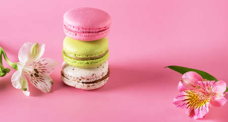Colored Macarons Modern French Delicate Dessert Lemon Pistachio Strawberry Vanilla Macarons Banner