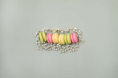 Macarons of Different Color on Green Background Flowers Top Viewの写真素材