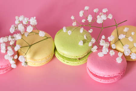 French Macaroon or Macaroons and White Flowers on Pink Background Bannerの写真素材